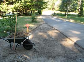 yard work 2010